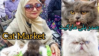 Saddar Cat Market  Cat Market Pakistan  Pakistan Pet Market  Cat For Sale  Cat Market  131024 [upl. by Seluj16]