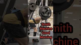 The Smith Machine is Useful Smith Machine Good Mornings [upl. by Bogie564]