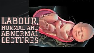 LABOUR lecture 3 MECHANISM OF LABOUR in complete detail in simplest way [upl. by Niroht]