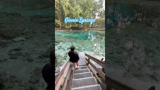 Crystal clear springs 72 degrees year round ☀️🏝️🍉 florida travel shorts trending explore [upl. by Ellette]