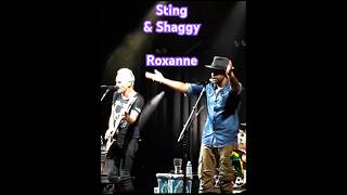 ✨ Sting amp Shaggy🎤🎶 Roxanne at Borgata hotel casino Atlantic City [upl. by Soigroeg146]