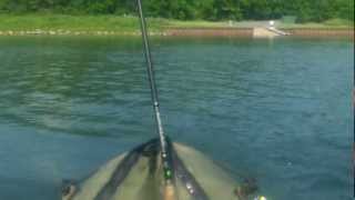 Narrowsburg NY Narrowsburg Bridge fishing [upl. by Anavi]