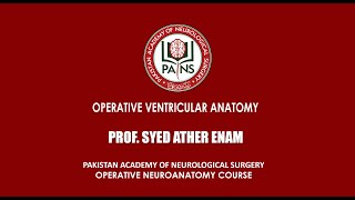 Operative Ventricular Anatomy by Prof Syed Ather Enam [upl. by Yelreveb]