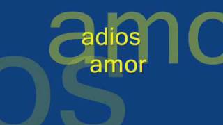 cumbia sonidera adios amor [upl. by Sande996]