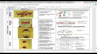 biologie cellulaire s1 BCG Partie métose [upl. by Laktasic275]