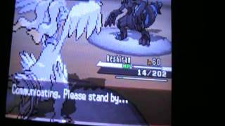 zekrom vs reshiram [upl. by Alahs]