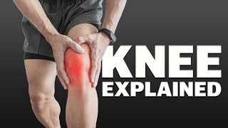 5 Simple Exercises For Massive Knee Pain Relief [upl. by December]