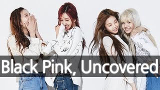 BLACKPINK New YG Girl Group Uncovered 블랙핑크 ENG SUB [upl. by Norabel]