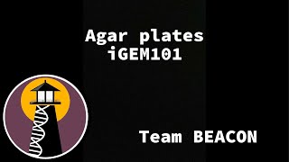 iGEM101 Lab How to make agar plates biology igem [upl. by Vic]