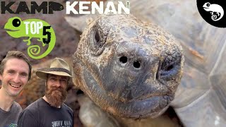 Top 5 Pet Tortoises At Kamp Kenan [upl. by Raquel167]