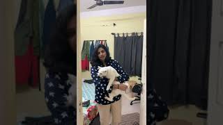 Karuppu packing ATROCITIES  newtsp karuppuvella shorts [upl. by Ellehcsar]