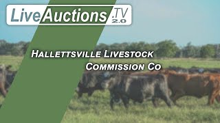 Hallettsville Livestock Commission Co [upl. by Eidson]