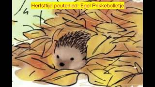 Herfsttijd peuterliedje Slaap lekker Prikkebolletje [upl. by Chitkara527]