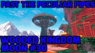 Super Mario Odyssey  Wooded Kingdom Moon 30  Past the Peculiar Pipes [upl. by Niuq]