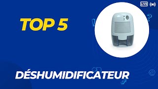 Les 5 Meilleur Déshumidificateur 2024  Top 5 Déshumidificateur Modèles [upl. by Caughey222]