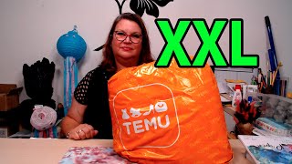 TEMU HAUL Bestellung August XXL [upl. by Duthie]