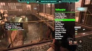 Black ops 2 Zombies mod menu Conversion v1 XBOXps3pc  download link [upl. by Marina]