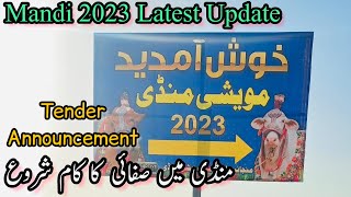 Mandi 2023 Latest Update  Safai Ka Kaam Start  Cow Mandi 2023 [upl. by Wightman370]