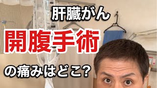 【肝臓がん】痛みが続く。手術後の経過をお知らせします。 [upl. by Nnylecoj]