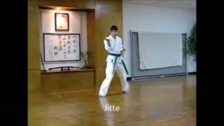 Kuniba Ryu Karate Katas [upl. by Rodgers501]