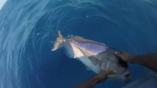 Sardinia Spydro fishing video [upl. by Rovelli]