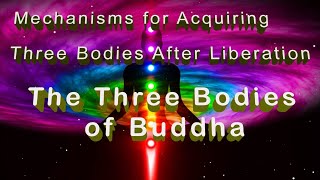 Tibetan Buddhism Explained ⑦ The Three Bodies of Buddha Dharmakaya Sambhogakaya Nirmaṇakaya [upl. by Goetz633]