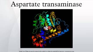 Aspartate transaminase [upl. by Thorsten405]