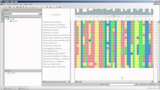 Unipro UGENE podcast 3 Working with multiple sequence alignment the basics [upl. by Toolis]