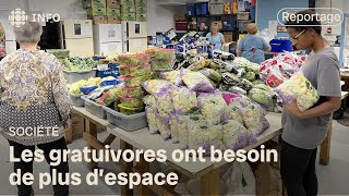 Les Gratuivores cherchent un local plus spacieux avec la demande qui grimpe en flèche [upl. by Hills87]