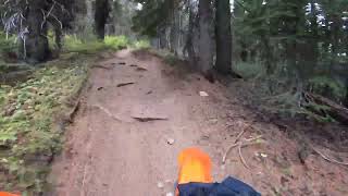 Manastash Ridge Trail Naches OHV Washington State [upl. by Doti708]