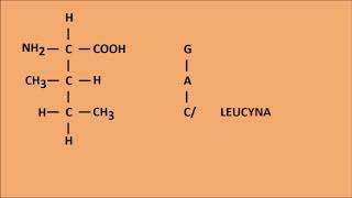 Jak zapamiętać aminokwasy [upl. by Broderic]