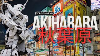 Top 5 Must Visit Stores in Akiba 2024  Guide [upl. by Ewnihc]