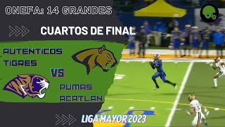 Auténticos Tigres vs Pumas Acatlan PlayOffs  14 Grandes Liga Mayor Onefa 2023 Highlights [upl. by Nosrac489]