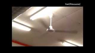 56quot WestinghouseEncon Industrial Ceiling Fans [upl. by Salohcim]