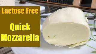 Lactose Free Quick Mozzarella Made with Real Milk [upl. by Ynot]