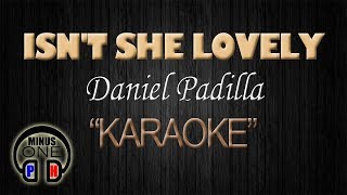 ISNT SHE LOVELY  Daniel Padilla KARAOKE Original Key [upl. by Malvin]