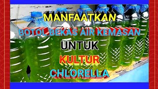 Manfaatkan botol bekas air kemasan untuk kultur chlorella [upl. by Irreg]