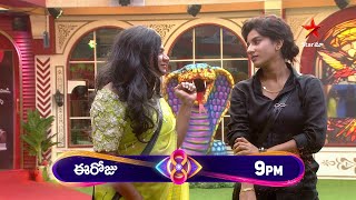 Bigg Boss Telugu 8  Day 70  Promo 1  Unforgettable Hilarious Moments 🤣 Nagarjuna  Star Maa [upl. by Sukram]