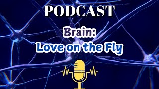 Brain Love on the Fly [upl. by Inahc]