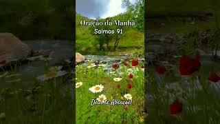 ORAÇÃO DA MANHÃ SALMOS 91 🌷 oração 🦋 [upl. by Etteyniv569]