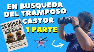 🌟🔍 Primera Parte de la Búsqueda del Tramposo Castor 🌊🦝 [upl. by Veradis]