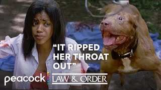 Deadly Dog Attack  S12 E01  Law amp Order [upl. by Ylrae]