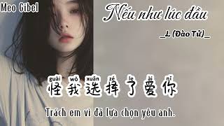 VietsubPinyin Nếu như lúc đầu LĐào Tử 如果当初L桃籽 [upl. by Gabi755]