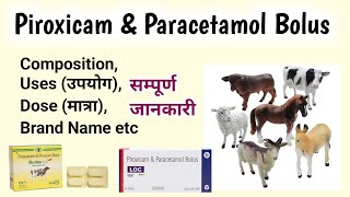 Piroxicam amp Paracetamol Bolus [upl. by Trixy]