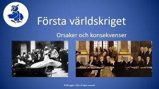 Första världskriget  orsaker och konsekvenser [upl. by Hanavas]