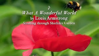 What A Wonderful World Louis Armstrong [upl. by Notgnirrac]