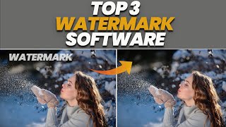 How To Remove Watermark From Videos Or Photos  Best Top 3 Watermark Remover [upl. by Jenei904]