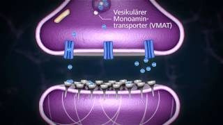 Methylphenidat  so funktioniert es [upl. by Arivle]