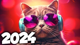 MÚSICA ELETRÔNICA 2024 🔥 AS MÚSICAS ELETRÔNICAS MAIS TOCADAS 🔥 Alok Vintage Culture amp David Guetta [upl. by Violette]