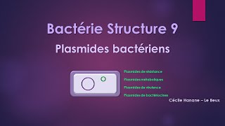 Bactérie Structure 9 MATERIEL GENETIQUE  PLASMIDES sans musique de fond [upl. by Roti115]